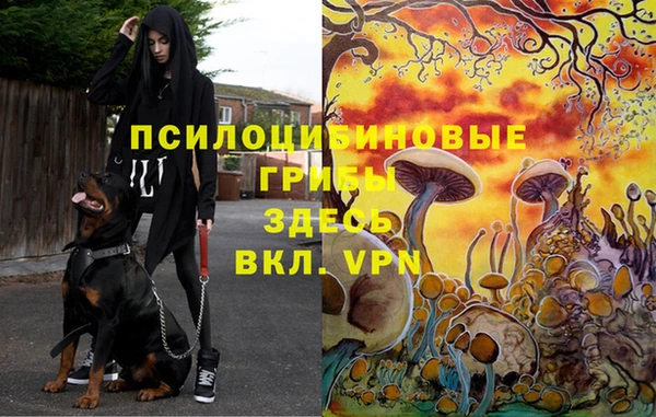 mdpv Аркадак