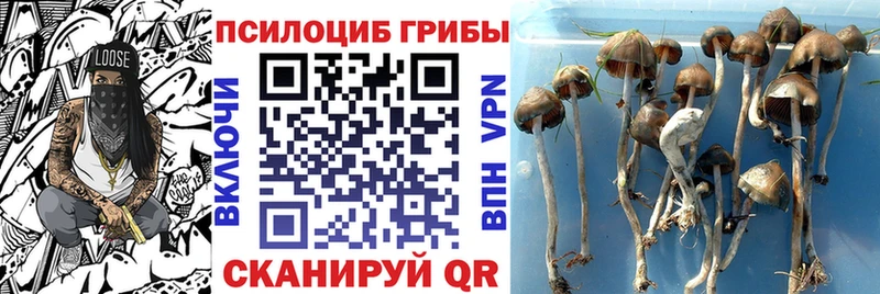 Псилоцибиновые грибы Psilocybine cubensis  что такое наркотик  Верхняя Салда 